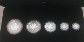 Kanada 2023 Maple Leaf Set(1/20/1/10,1/4,1/2,1oz)  - 4