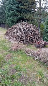 Haldu dřeva ze smrku, borovice, třešně, vrby. - 4