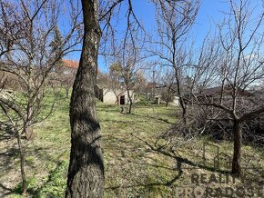 Prodej  vinného sklepa s pozemkem (663 m2)  ve Valticích-čás - 4