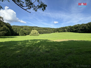 Prodej pole, 52414 m², Třebenice - 4