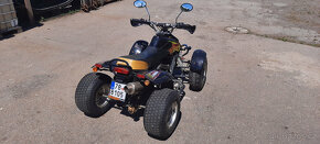 ATV Peidu Leopard CM250ST-6 - 4