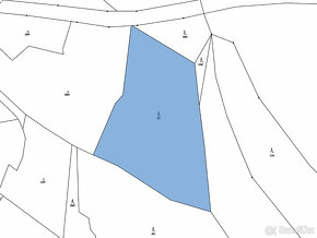 Prodej podílu 1/9 lesního pozemku 1240 m2 v obci Sruby, okre - 4