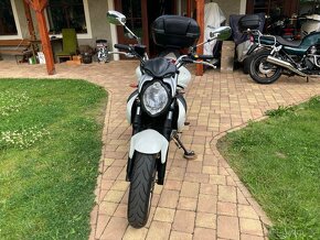 Suzuki SFV 650 Gladius - 4