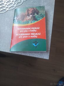 Prodám štěně krisařik +čivava - 4