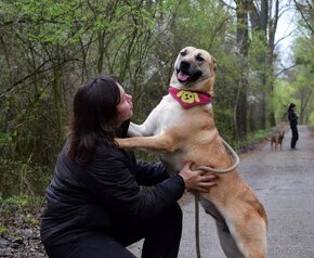 BALIANA K ADOPCI - PŘÁTELSKÉ ZLATÍČKO - 4