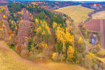 Prodej lesa, 2921 m², Tuchořice - 4