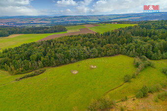 Prodej louky, 5843 m², Spálené Poříčí - Struhaře - 4