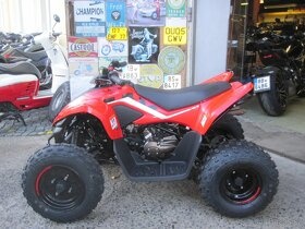 CFMOTO Gladiátor X 110 LE - 4