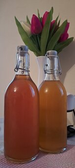 KOMBUCHA - 4