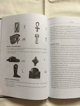 Egyptské hieroglyfy - W.V. Davies - 4