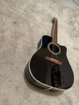 Takamine SW341SC Steve Wariner - 4