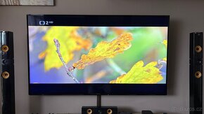 65" Panasonic TX-65EX603E - 4