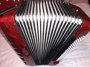 Acordeon DELICIA CARMEN 96 - 4