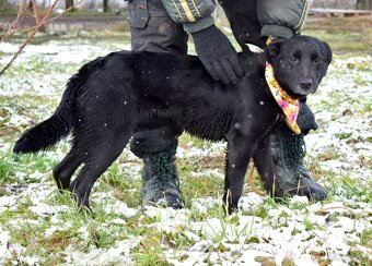 JULIA K ADOPCI - 2 ROKY, HODNÁ, KLIDNÁ, PŘÁTELSKÁ - 4