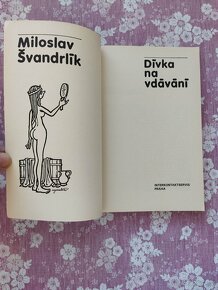 Dívka na vdávání - Miroslav Švandrlík - 4