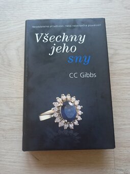 Všechny jeho touhy/ přání/sny - 4