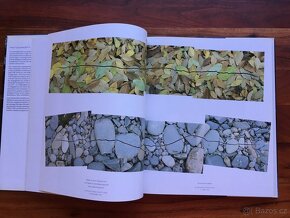 Andy Goldsworthy - Zweitausendeins - 4