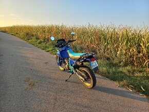 Honda NX 650 (670) Dominátor 1991 v TP 33kw - 4