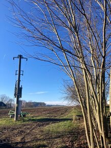 Prodej stavebního pozemku obec Děbolín, Jindřichův Hradec - 4