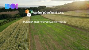Prodej pole, 4881 m², Moravský Písek - 4