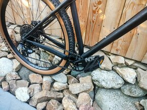 NSbikes 29" eccentric - 4