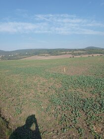 Úrodné pole; orná půda, Jenčice, za 500.000 Kč za celý LV. - 4