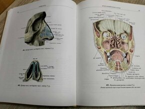 Atlas anatomii čelověkaI.-III.-1978,1979,1981 -- Rafail Davi - 4