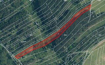 Prodej lesa Dehtín 11061 m2 - 4
