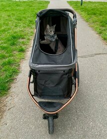 Kočárek pro kočku do 23Kg PetBuggy - 4