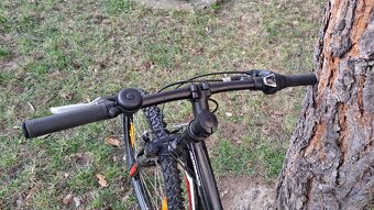 Specialized Hotrock 24 - 4