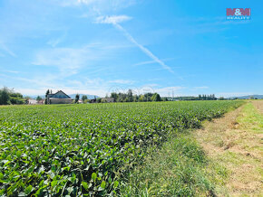 Prodej pozemku k bydlení, 2973 m², Příbor, ul. Štramberská - 4