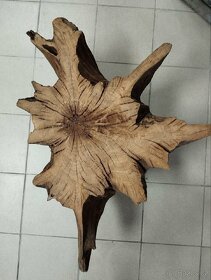 Dubový stolek parez-kořen - 4