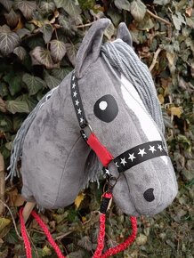 Hobby horse - 4