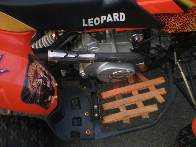 dětská čtyřkolka 110ccm leopard