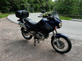 Suzuki xf 650 Freewind - 5