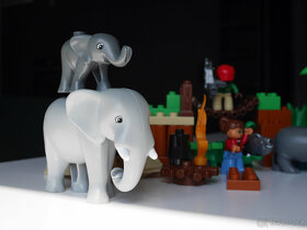 Lego Duplo – Fotíme safari - 5