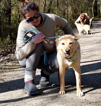 OMNIA K ADOPCI - 2 ROKY, HODNÁ,VDĚČNÁ,KLIDNÁ - 5