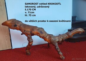 SAMOROSTY  k dekoraci - 5