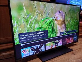 4K Smart TV 43" Panasonic TX-43GX550E-úhlopříčka 108cm - 5