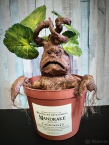 Mandragora Harry Potter - 5