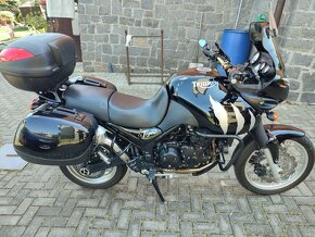 Triumph Tiger 955i - 5