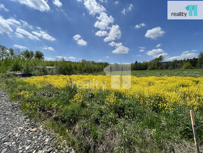 Prodej pozemku ke stavbě rekreačního objektu, 1067m2, Bedřic - 5