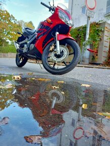 Honda cbr 125 - 5