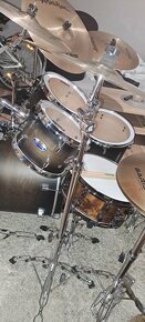 Pearl Decade Maple - 5