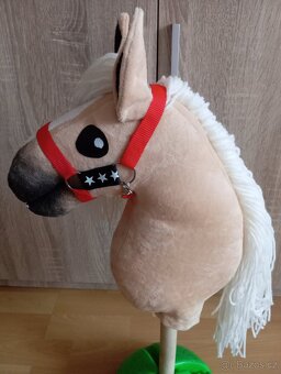 Hobby horse - 5