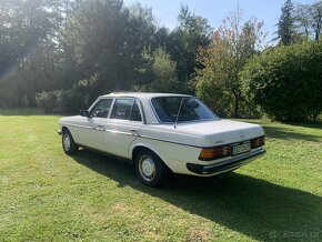 Mercedes Benz W123 - 5