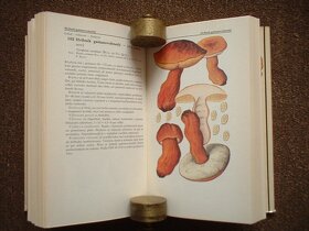 Kniha Malý atlas hub i když poněkud větší a detailní - 5