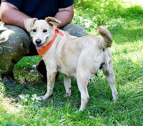 ZDENKA K ADOPCI - 2 ROKY, HODNÁ, MÁ RÁDA POZORNOST,HRAVÁ - 5