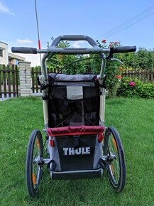 Thule Chariot CX1 - 5