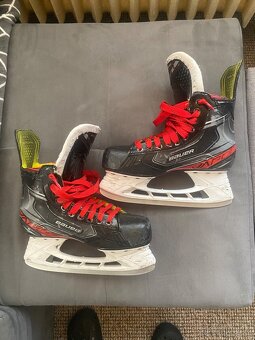 Bauer Vapor X2.9 vel.:6.5D - 5